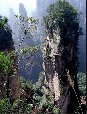 長(zhǎng)沙出發(fā)到張家界溶洞奇觀黃龍洞、國(guó)家森林公園、袁家界、峰林之王天子山三日游（早班）